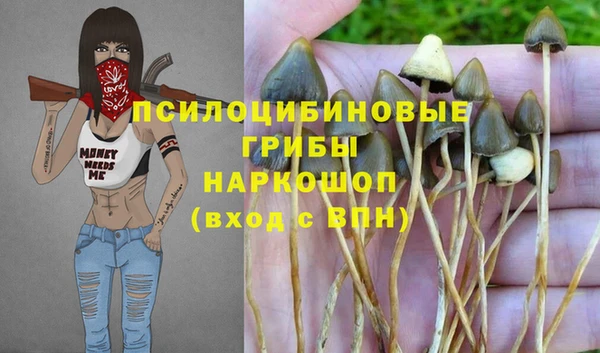марки nbome Белокуриха