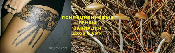 марки nbome Белокуриха