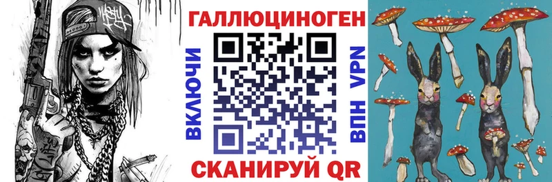 мориарти какой сайт  Пионерский  Галлюциногенные грибы Psilocybe 