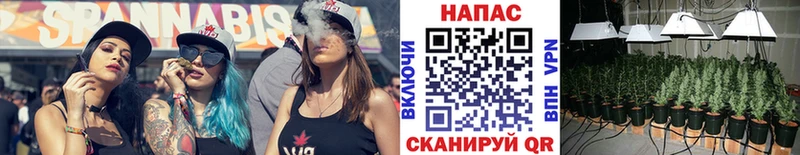 shop наркотические препараты  Пионерский  Канабис Ganja 